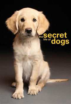 《狗的秘密生活》