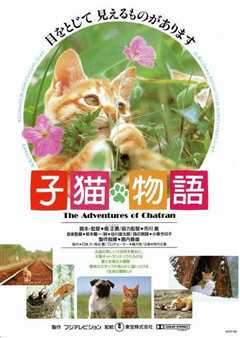 《猫的故事》