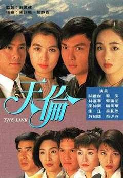 《天伦1993》