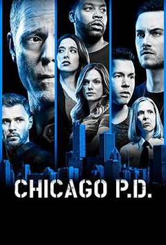《芝加哥警署 第6季》