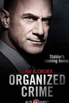《法律与秩序：组织犯罪 第1季》