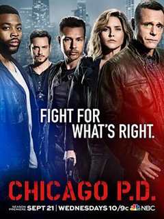《芝加哥警署 第4季》