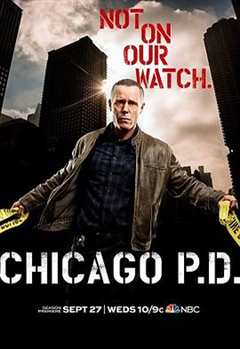 《芝加哥警署 第5季》