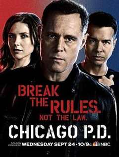 《芝加哥警署 第2季》