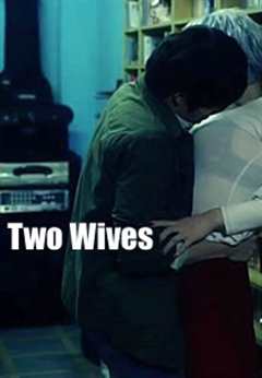 《两个妻子（2014）》