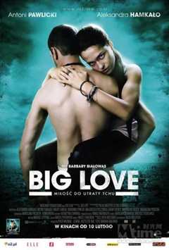 《大爱/Big Love》