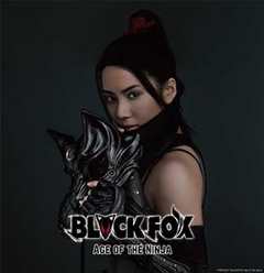 《黑狐：忍者时代 BLACKFOX： Age of the Ninja》