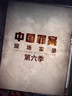 《罪案现场实录第6季》