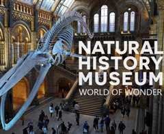 《英国自然历史博物馆神奇世界第1季》