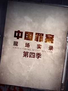 《罪案现场实录第4季》