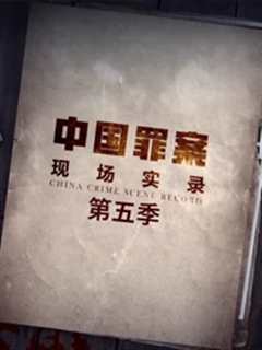 《罪案现场实录第5季》