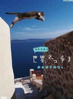 《岩合光昭の猫步走世界~镰仓》