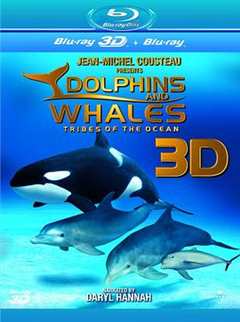 《海豚和鲸鱼3D》