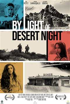 《通过沙漠之夜》