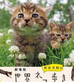 《岩合光昭の猫步走世界~托斯卡纳篇》