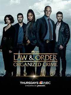 《法律与秩序：组织犯罪 第3季》