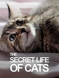 《BBC地平线：猫的秘密生活》
