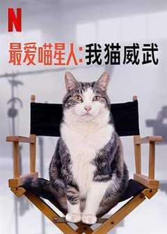 《讲述猫中乔治克鲁尼的故事#最爱喵星人：我猫威武》