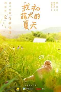 《我和萌犬的夏天》