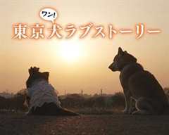 《东京犬爱情故事》