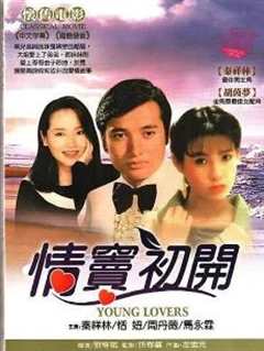 《情窦初开1978》