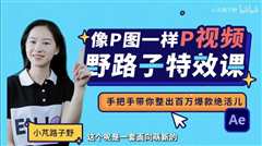 《野路子特效课：像P图一样“P”视频》