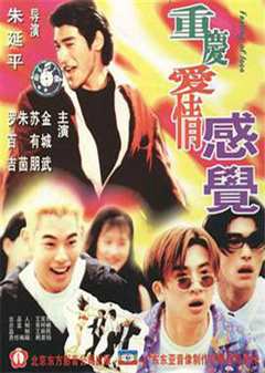 《重庆爱情感觉1996》