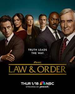 《法律与秩序第二十三季》