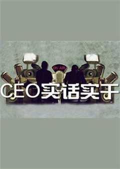 《CEO实话实干》