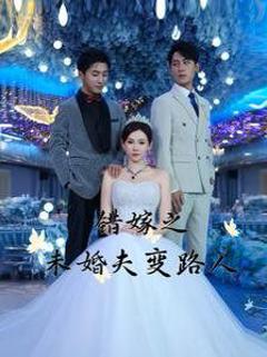 《错嫁之未婚夫变路人》