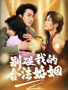 《别碰我的合法婚姻（天大地大老婆最大）》