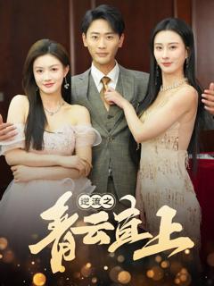 《逆流之青云直上》