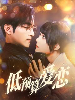 《低预算爱恋》