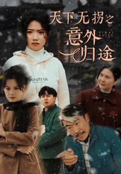 《天下无拐之意外归途》