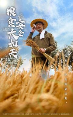 《粮食安全大如天》