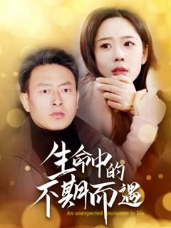 《生命中的不期而遇》