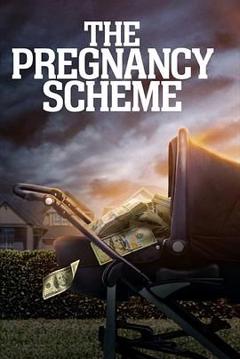 《The Pregnancy Scheme》