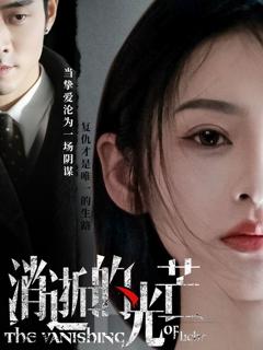 《消逝的光芒》