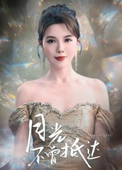 《月光不曾抵达》