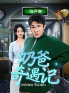 《奶爸奇遇记》