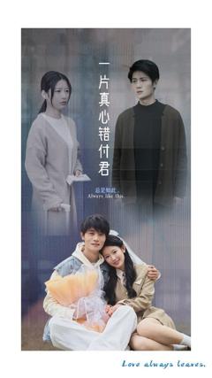 《一片真心错付君》
