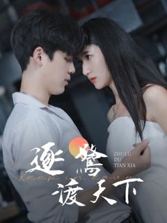 《逐鹭渡天下》
