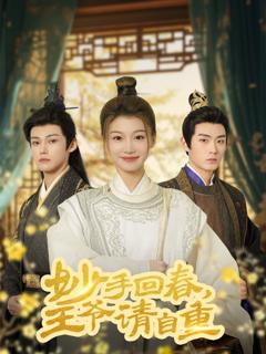 《妙手回春王爷请自重（杏林误入凤雀台）》