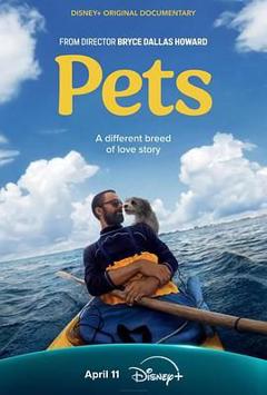 《宠 Pets》