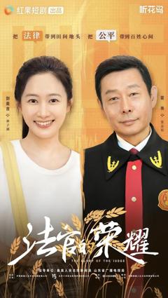 《法官的荣耀》