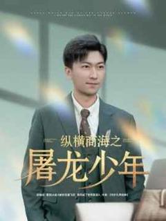 《纵横商海之屠龙少年》