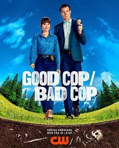 《好警察/坏警察》