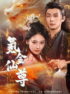 《氪金仙尊（首充6元即赠角色女剑仙）》