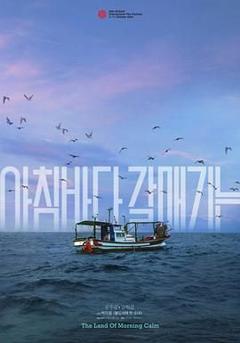 《晨海的海鸥》