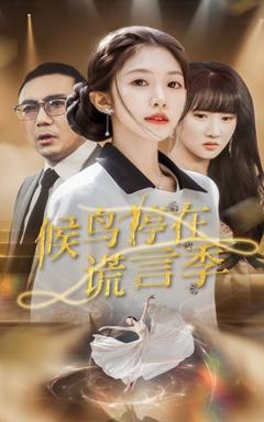 《候鸟停在谎言季》